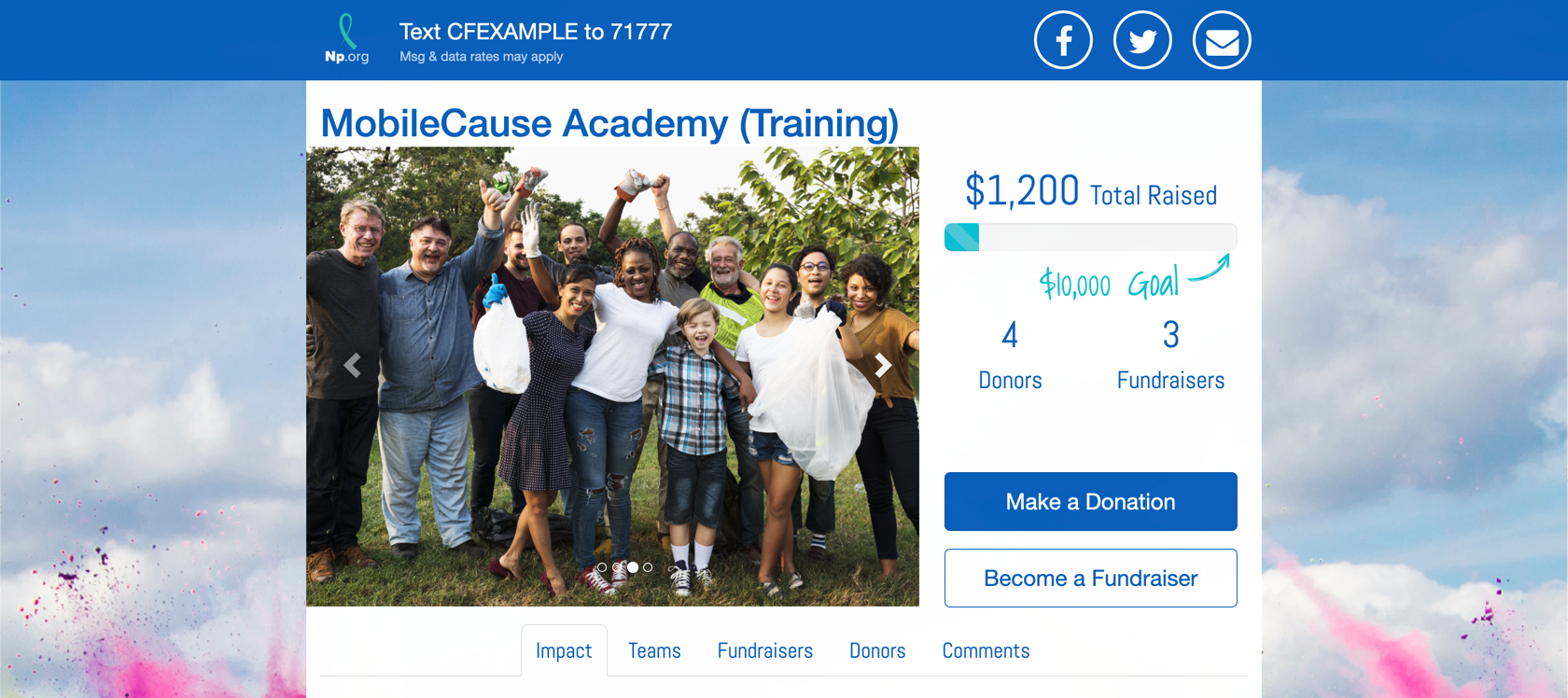 Fundraising Page Example