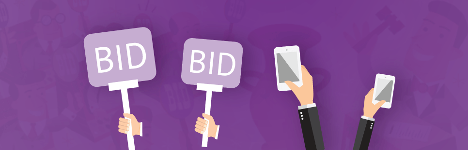 Maximizing the ROI of Fundraising Auctions